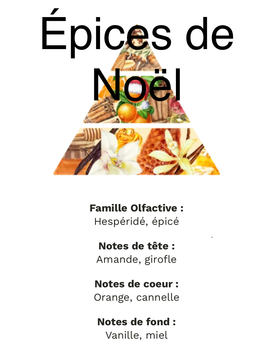 Épices de Noël +/120g de cire