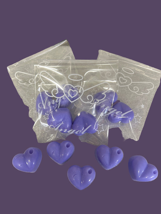 Fondant Parfumé " Les Ailes 🪽 du Ciel" Lot de 2 +/-14g de cire