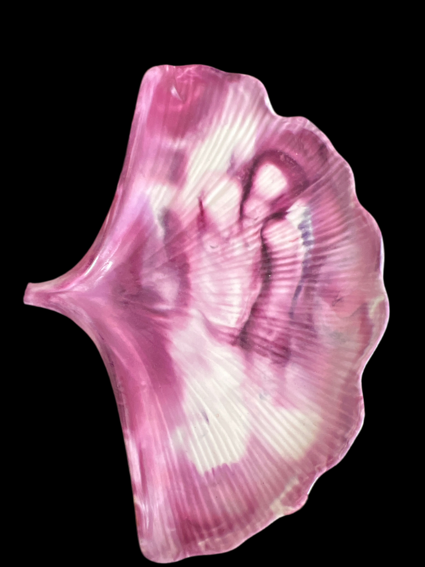 Plateau Coquillage Défaut