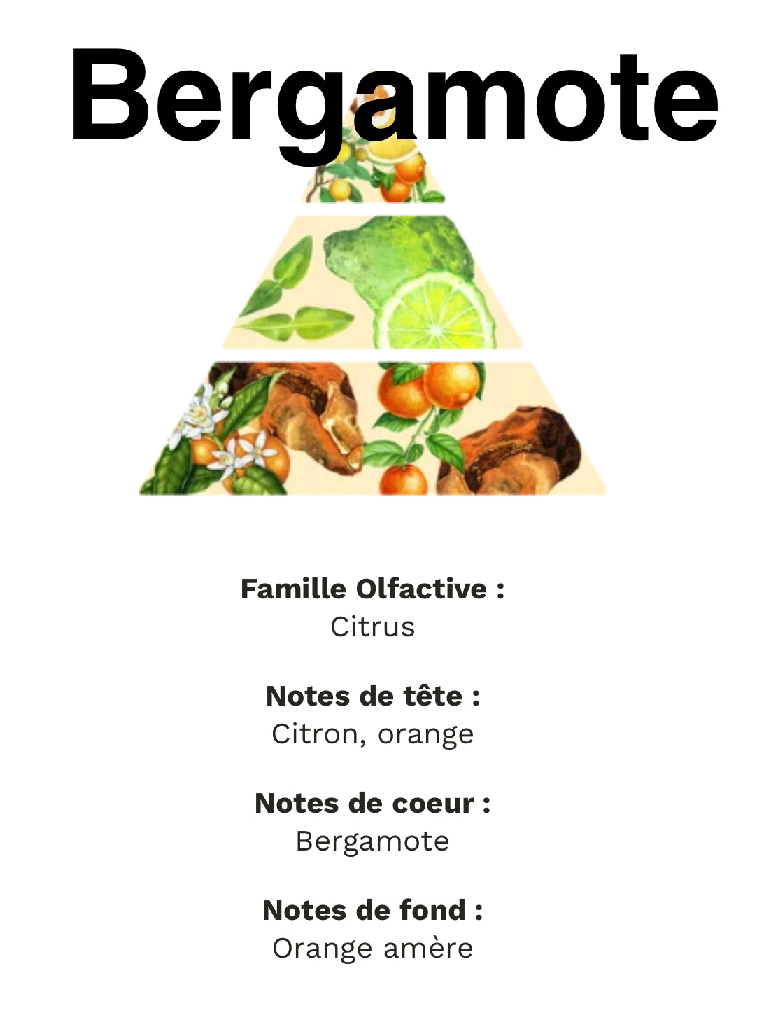 Bergamote +/-230g de cire pot en plâtre de moulage