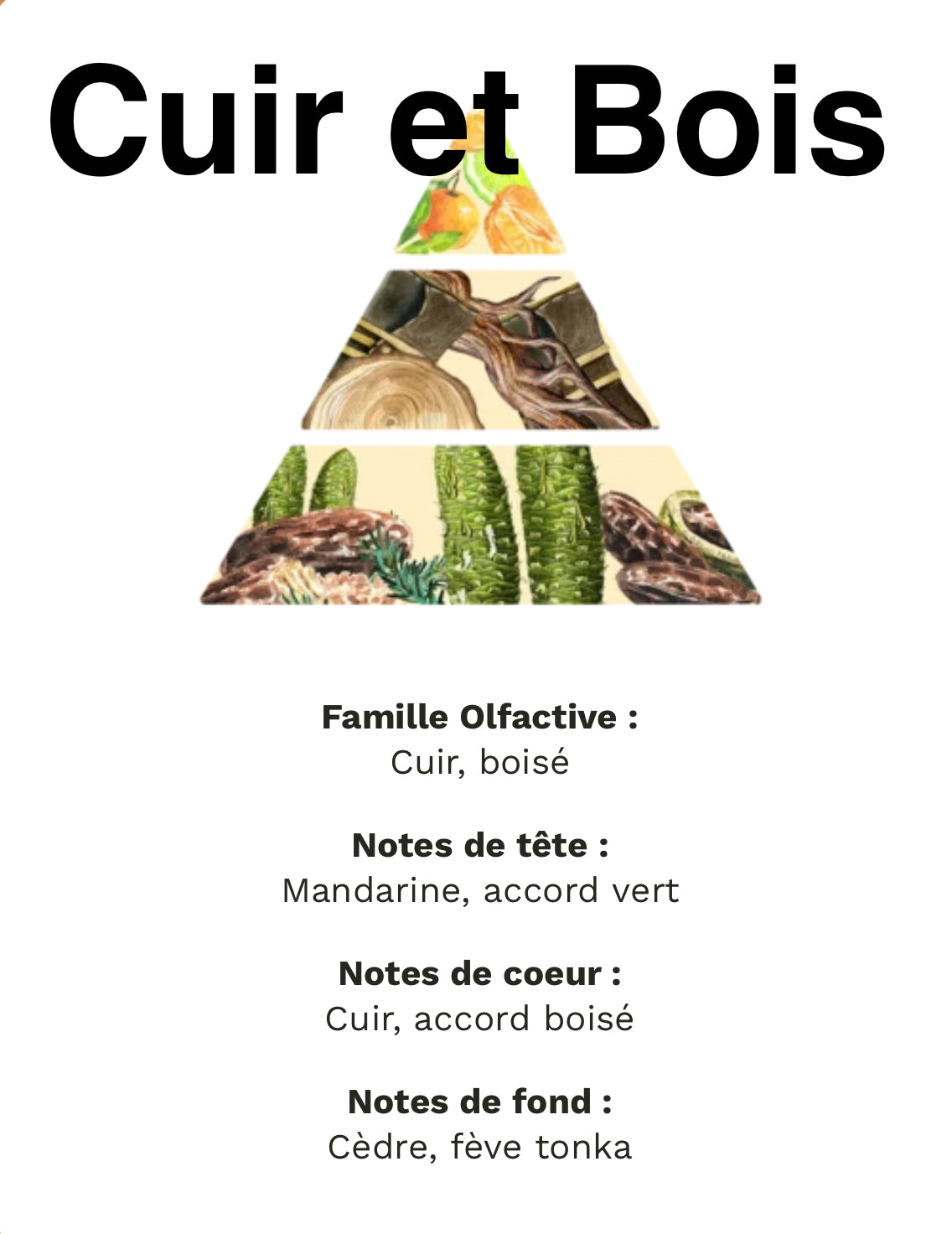 Cuir et Bois +/-55g de cire pot en plâtre de moulage