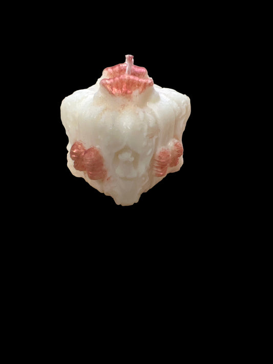 Caramel & Beurre salé +/-60g de cire