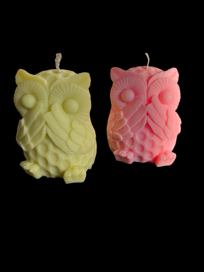 +/-89g de Cire Une couleur un Parfum " Lire la description"