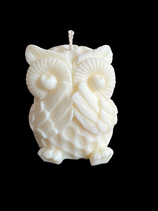 Parfum Pomme & Miel +/-89g de cire