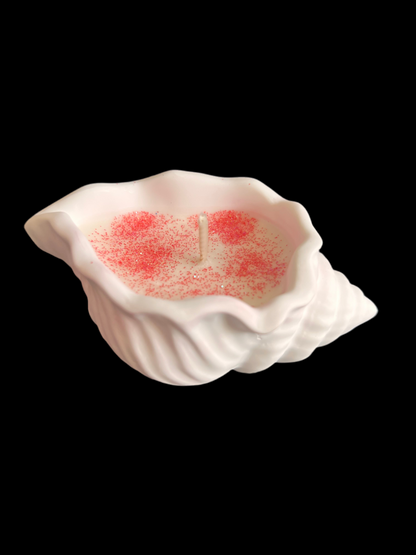 Parfum Mojito 25g de Cire