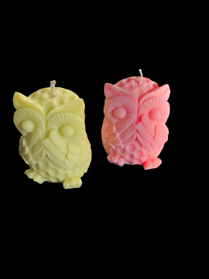 +/-89g de Cire Une couleur un Parfum " Lire la description"