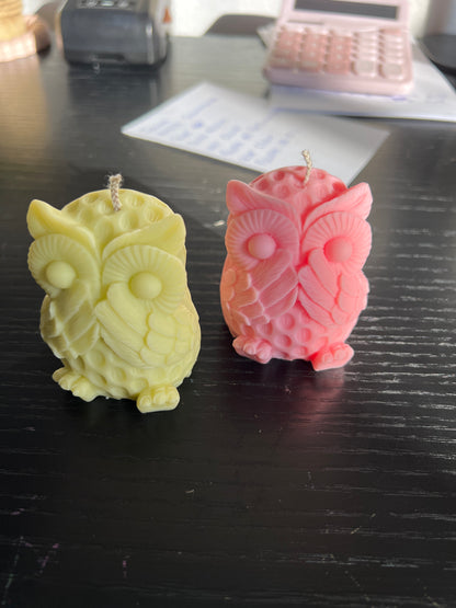 +/-89g de Cire Une couleur un Parfum " Lire la description"