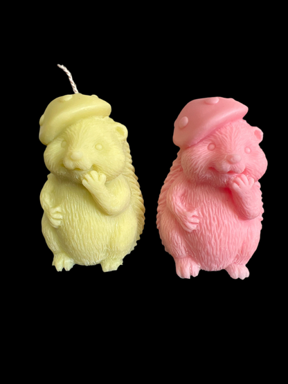 +/- 75g de Cire une couleur un Parfum