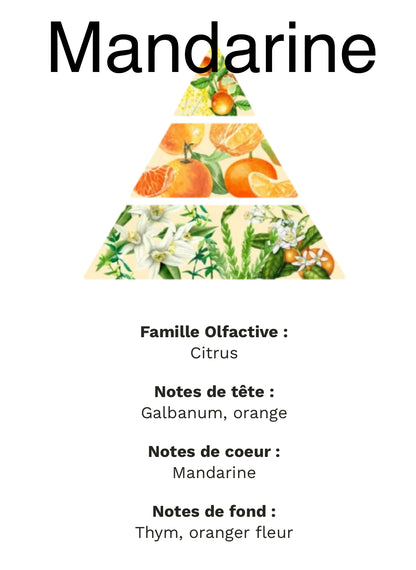 Fondant parfumé Lot de 2 +/-20g