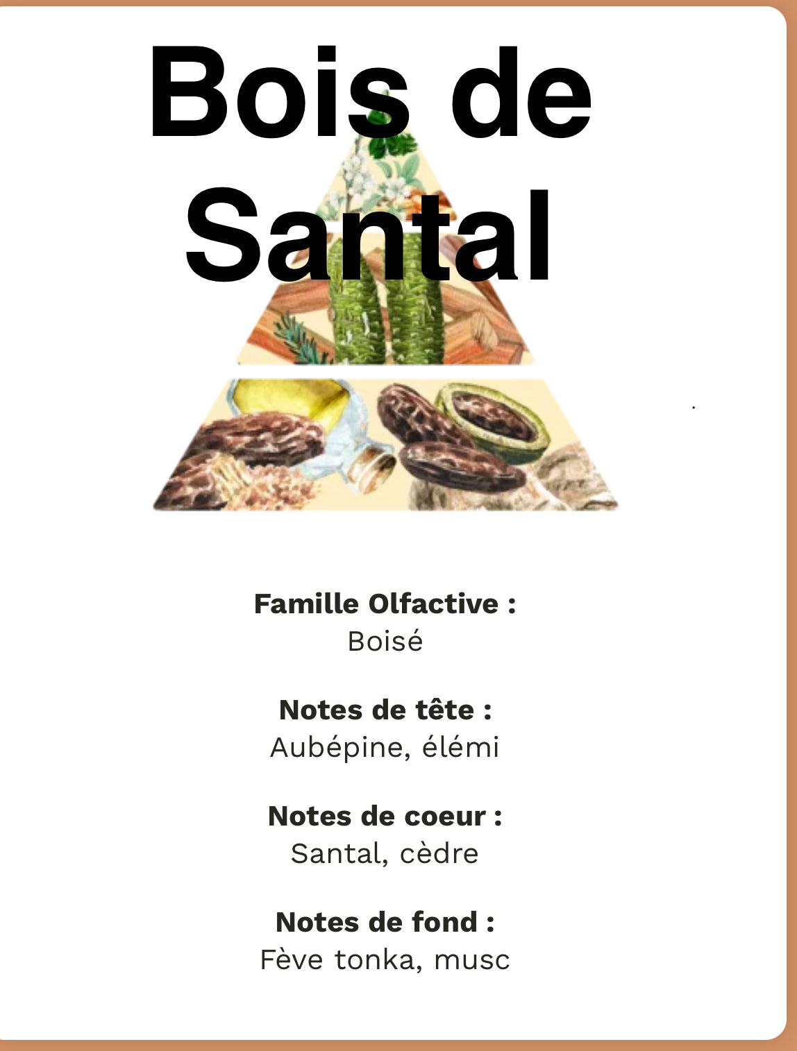 Bois de santal +/-50g de cire