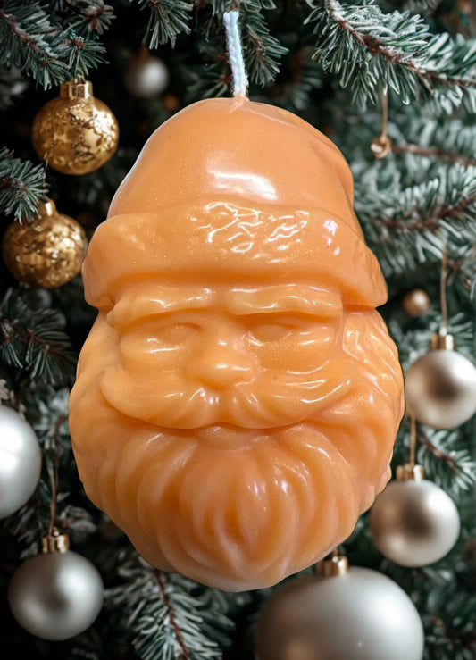 Poudre de Cacao +/-170g